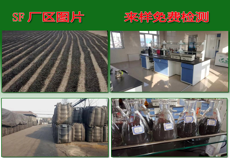 ����̿�S�ң�ú�|(zh��)�������̿�S�ҬF(xi��n)���D